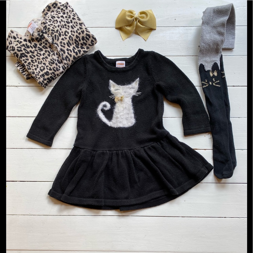 Gymboree Cat dress/sweater/tights.